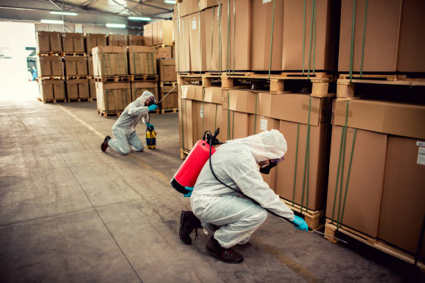 Best Bed Bug Extermination  in Comanche, OK
