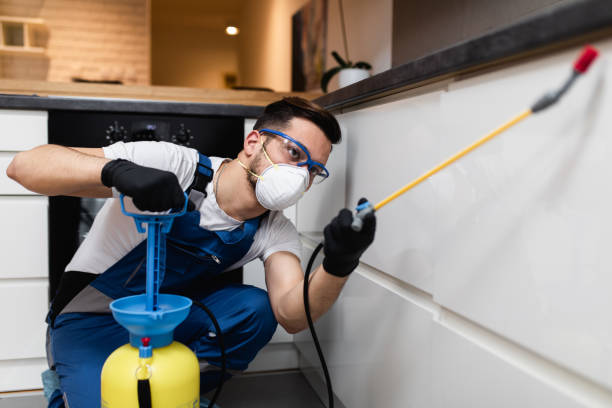 Best Pest Control Near Me  in Comanche, OK