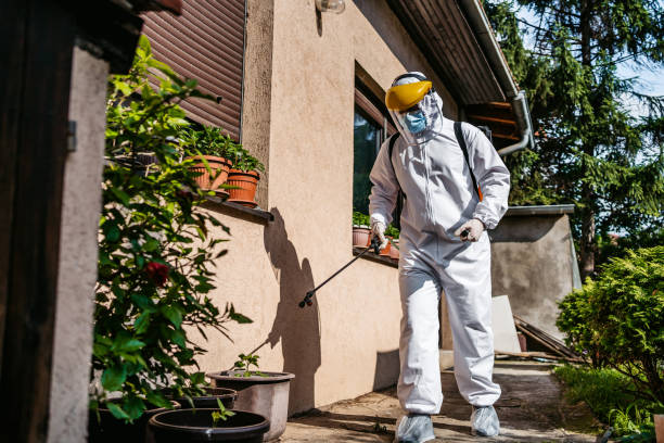  Comanche, OK Pest Control Pros
