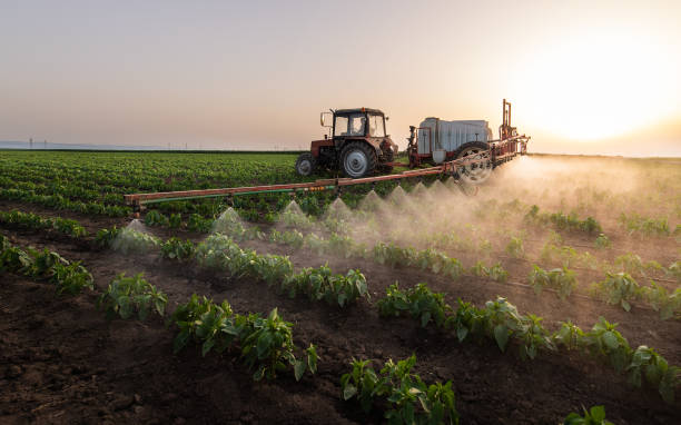 Best Pest Control for Restaurants  in Comanche, OK
