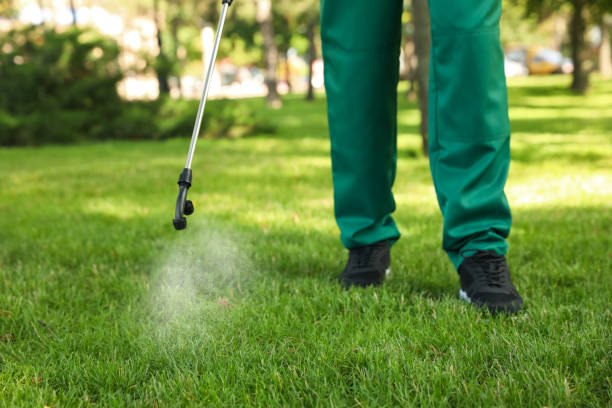 Best Pest Removal Services  in Comanche, OK