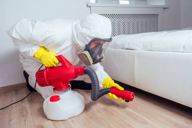 Best Residential Pest Control  in Comanche, OK