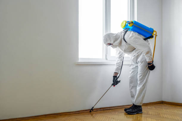Best Pest Removal Services  in Comanche, OK