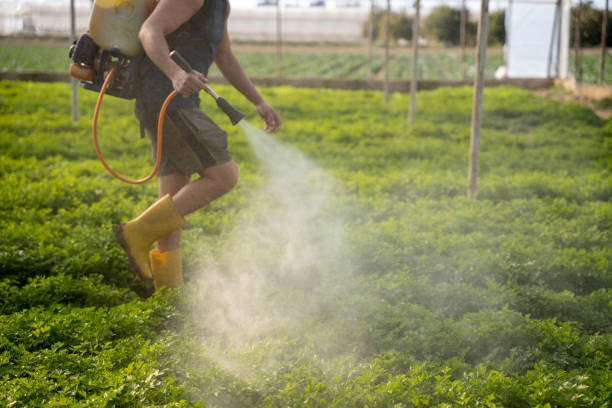 Best Pest Control for Businesses  in Comanche, OK