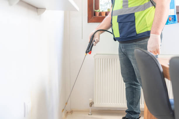Best Mosquito Control Services  in Comanche, OK