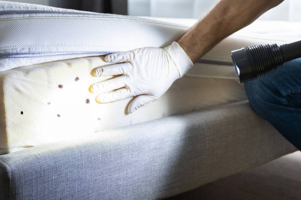 Best Pest Inspection Near Me  in Comanche, OK