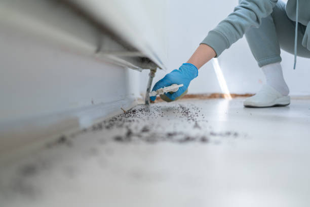 Pest Prevention Services in Comanche, OK