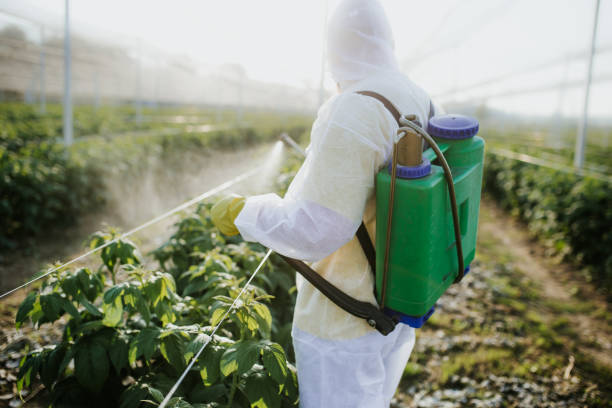 Professional Pest Control in Comanche, OK